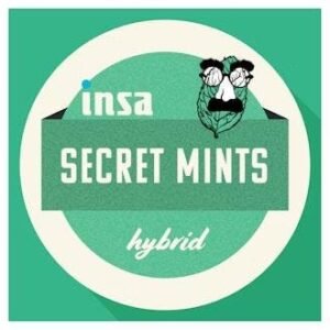 Flower - Secret Mints